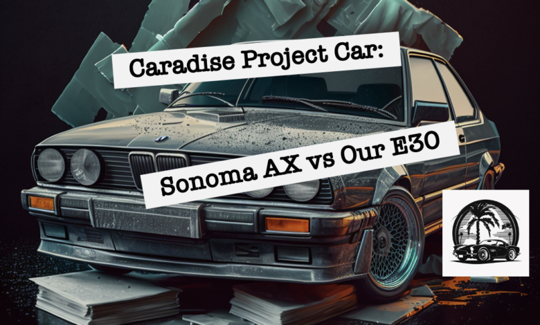 caradise project car what happened?